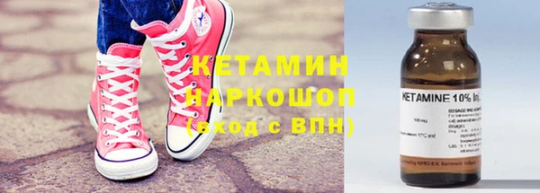 гашик Заполярный