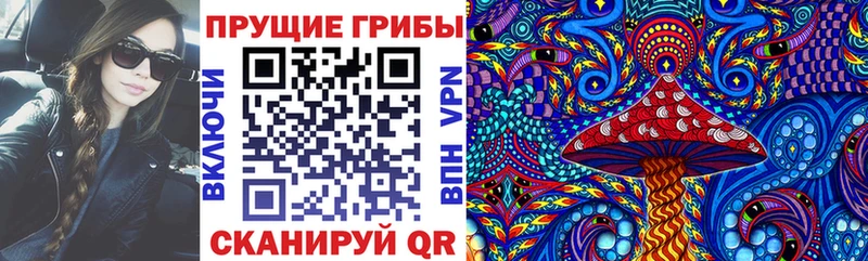 мега ссылки  Унеча  Псилоцибиновые грибы Magic Shrooms 