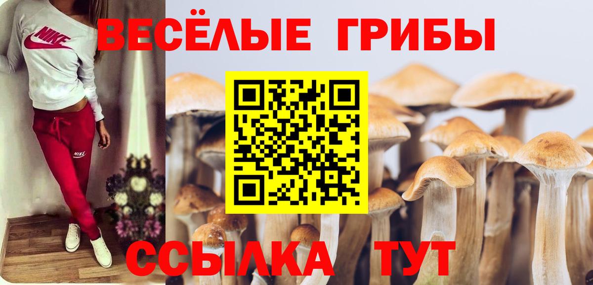 Псилоцибиновые грибы ЛСД Унеча